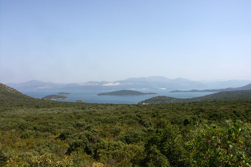 Obraz 263